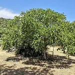Шале Ghiramonte, In Campagna A Due Passi Dal Mare