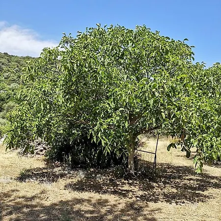 Chalet Ghiramonte, Vita In Campagna A Due Passi Dal Mare